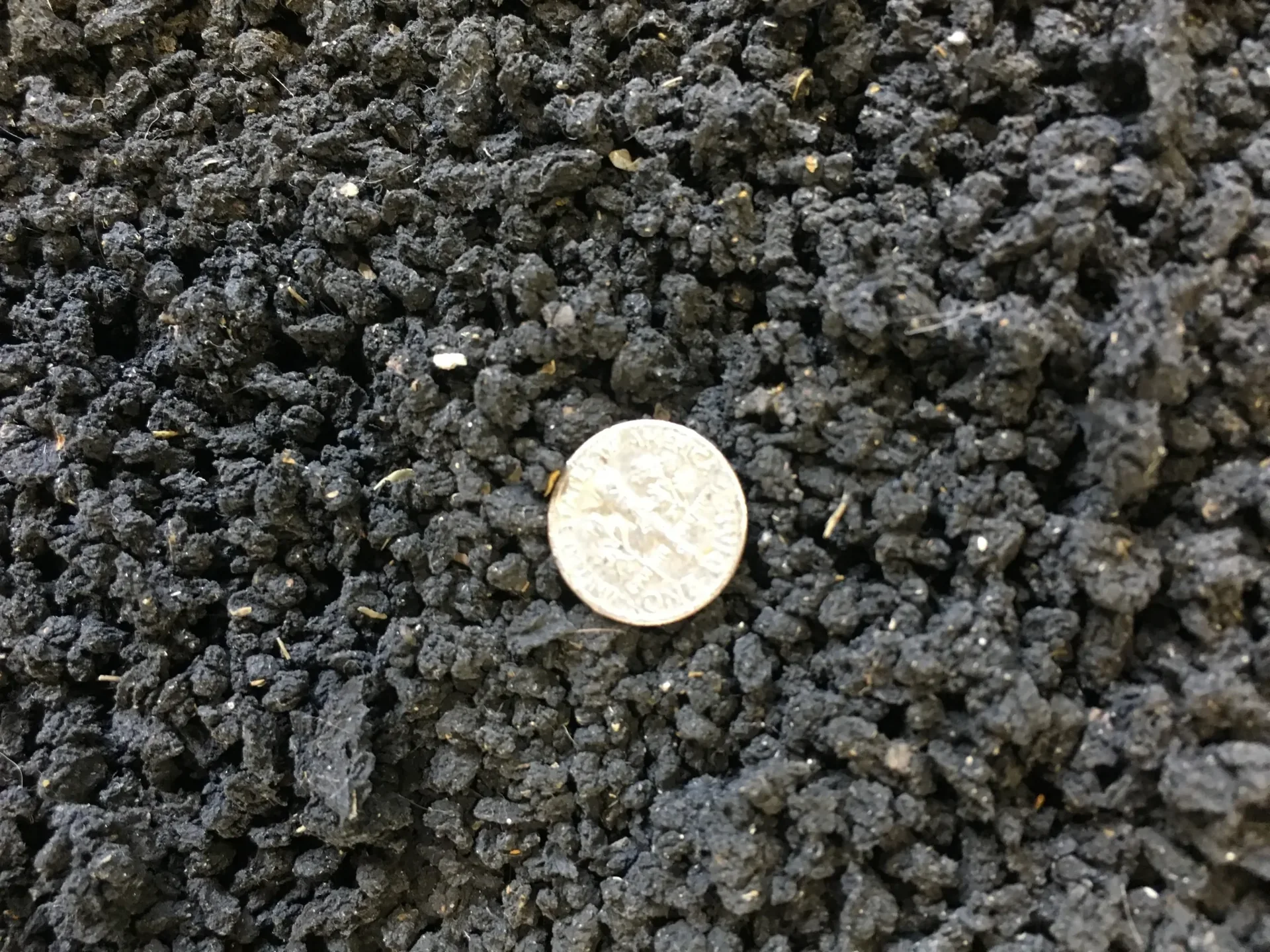 Close-up of dried biosolids with a coin showing scale.